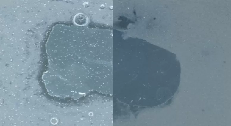 Comparison of matrix crystallization between conventional and optimized spraying methods for MALDI-MSI spatial metabolomics